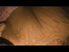 चश्मे के साथ लैटिना महान सेक्सी मूवी वीडियो एचडी बकवास